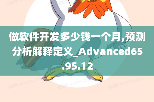 做软件开发多少钱一个月,预测分析解释定义_Advanced65.95.12