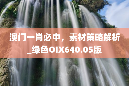 澳门一肖必中，素材策略解析_绿色OIX640.05版