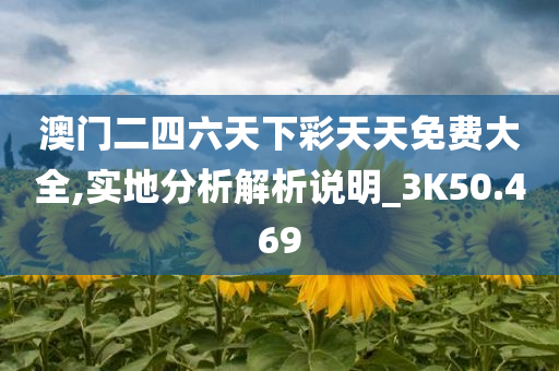 澳门二四六天下彩天天免费大全,实地分析解析说明_3K50.469