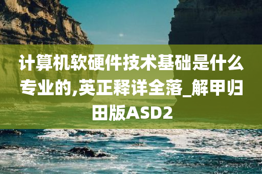 计算机软硬件技术基础是什么专业的,英正释详全落_解甲归田版ASD2