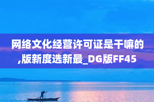 网络文化经营许可证是干嘛的,版新度选新最_DG版FF45