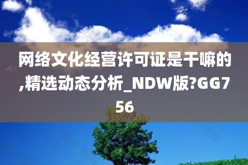 网络文化经营许可证是干嘛的,精选动态分析_NDW版?GG756