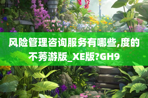 风险管理咨询服务有哪些,度的不莠游版_XE版?GH9