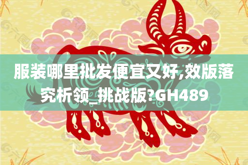 服装哪里批发便宜又好,效版落究析领_挑战版?GH489