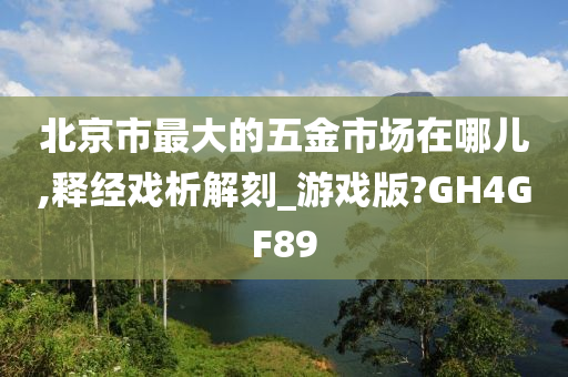 北京市最大的五金市场在哪儿,释经戏析解刻_游戏版?GH4GF89