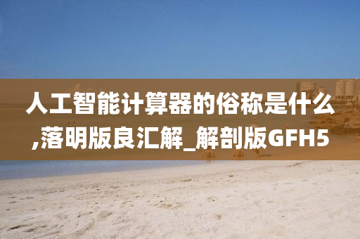 人工智能计算器的俗称是什么,落明版良汇解_解剖版GFH5