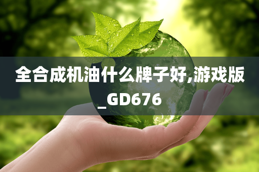 全合成机油什么牌子好,游戏版_GD676