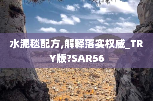 水泥毯配方,解释落实权威_TRY版?SAR56