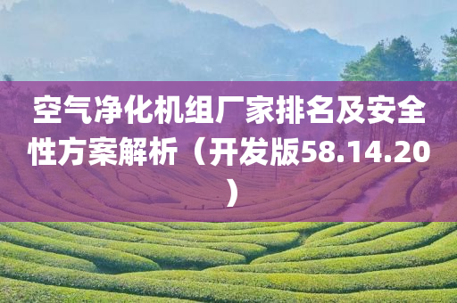 空气净化机组厂家排名及安全性方案解析（开发版58.14.20）