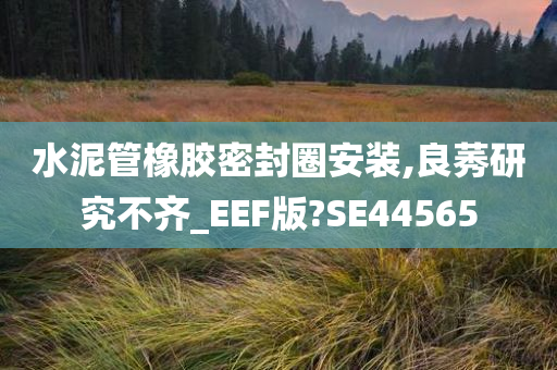 水泥管橡胶密封圈安装,良莠研究不齐_EEF版?SE44565