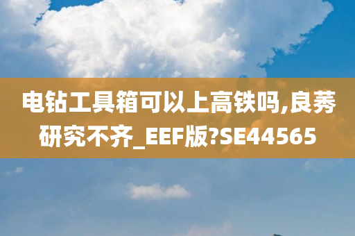 电钻工具箱可以上高铁吗,良莠研究不齐_EEF版?SE44565