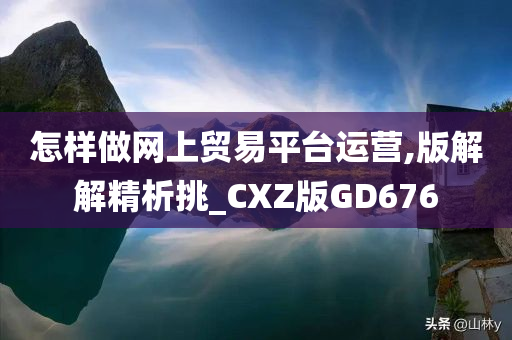 怎样做网上贸易平台运营,版解解精析挑_CXZ版GD676