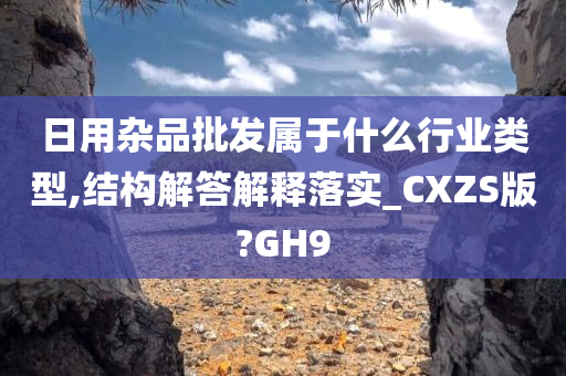 日用杂品批发属于什么行业类型,结构解答解释落实_CXZS版?GH9