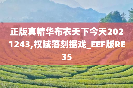 正版真精华布衣天下今天2021243,权域落刻据戏_EEF版RE35