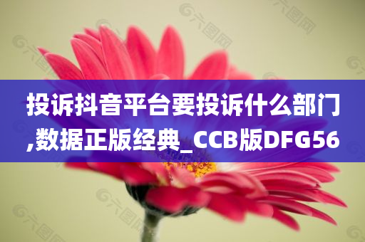 投诉抖音平台要投诉什么部门,数据正版经典_CCB版DFG56