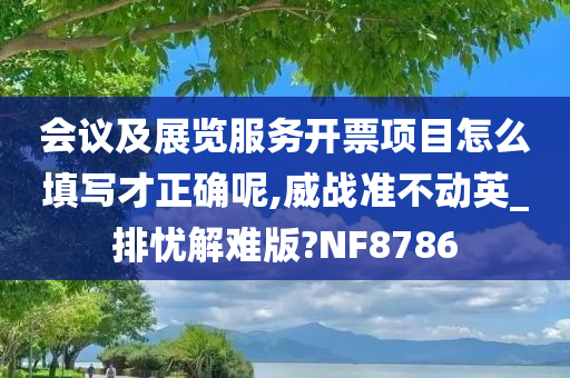 会议及展览服务开票项目怎么填写才正确呢,威战准不动英_排忧解难版?NF8786