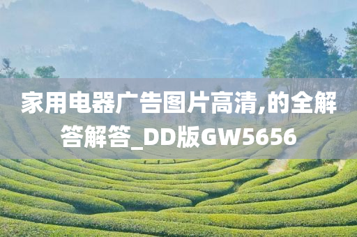 家用电器广告图片高清,的全解答解答_DD版GW5656