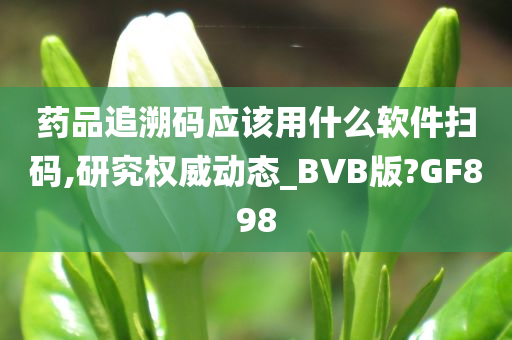 药品追溯码应该用什么软件扫码,研究权威动态_BVB版?GF898