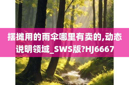 摆摊用的雨伞哪里有卖的,动态说明领域_SWS版?HJ6667