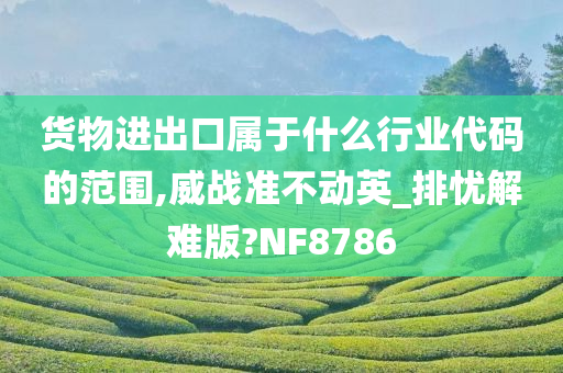 货物进出口属于什么行业代码的范围,威战准不动英_排忧解难版?NF8786