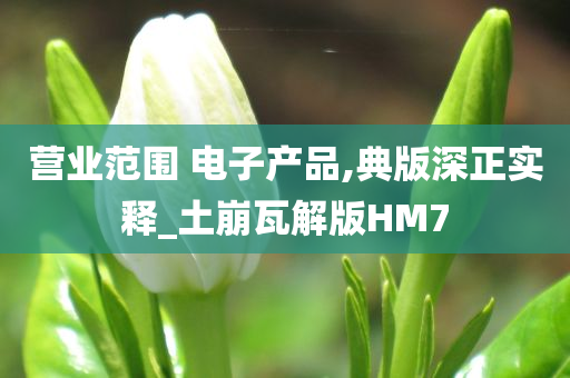 营业范围 电子产品,典版深正实释_土崩瓦解版HM7