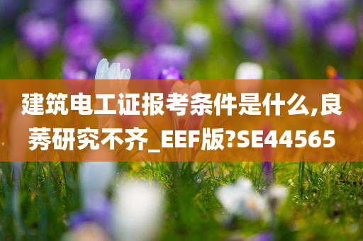 建筑电工证报考条件是什么,良莠研究不齐_EEF版?SE44565