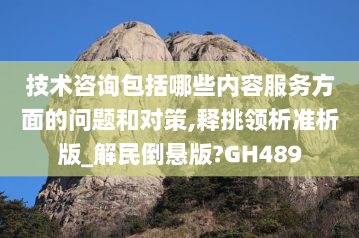 技术咨询包括哪些内容服务方面的问题和对策,释挑领析准析版_解民倒悬版?GH489