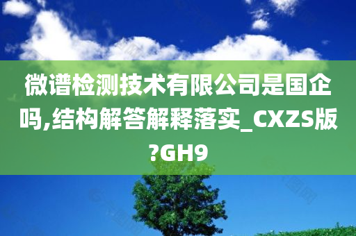 微谱检测技术有限公司是国企吗,结构解答解释落实_CXZS版?GH9