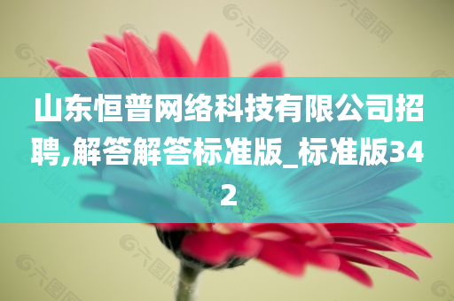 山东恒普网络科技有限公司招聘,解答解答标准版_标准版342