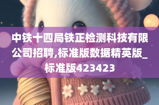 中铁十四局铁正检测科技有限公司招聘,标准版数据精英版_标准版423423