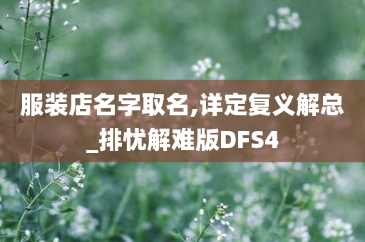 服装店名字取名,详定复义解总_排忧解难版DFS4