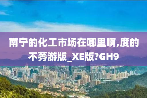 南宁的化工市场在哪里啊,度的不莠游版_XE版?GH9