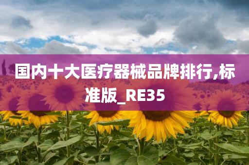 国内十大医疗器械品牌排行,标准版_RE35