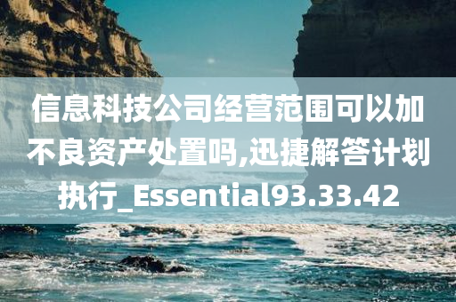 信息科技公司经营范围可以加不良资产处置吗,迅捷解答计划执行_Essential93.33.42