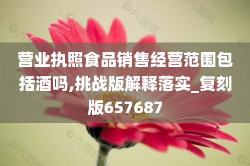 营业执照食品销售经营范围包括酒吗,挑战版解释落实_复刻版657687