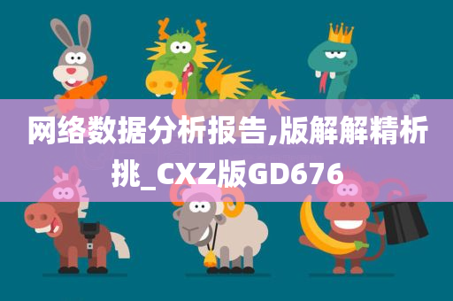 网络数据分析报告,版解解精析挑_CXZ版GD676