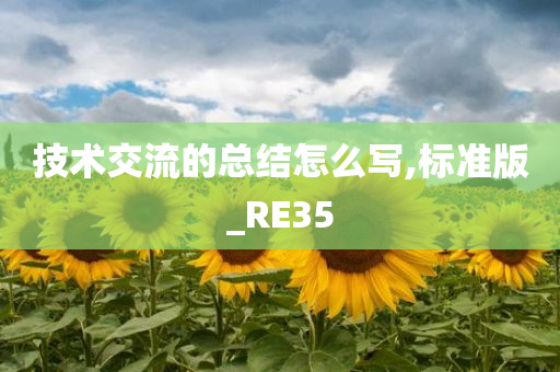 技术交流的总结怎么写,标准版_RE35