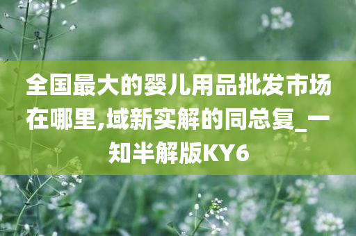 全国最大的婴儿用品批发市场在哪里,域新实解的同总复_一知半解版KY6