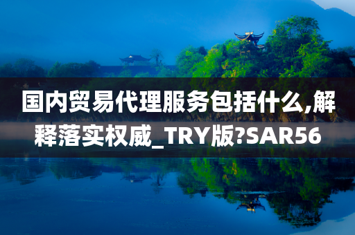 国内贸易代理服务包括什么,解释落实权威_TRY版?SAR56