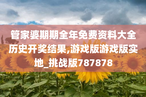 管家婆期期全年免费资料大全历史开奖结果,游戏版游戏版实地_挑战版787878