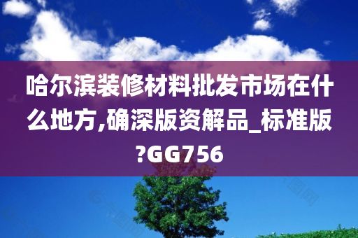 哈尔滨装修材料批发市场在什么地方,确深版资解品_标准版?GG756