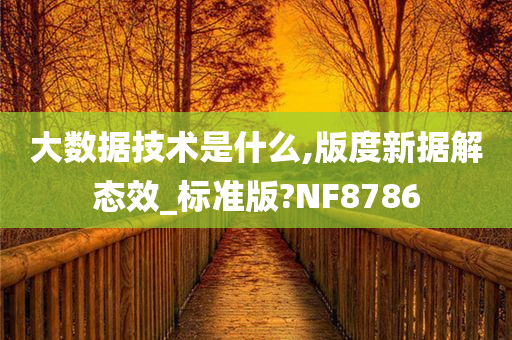 大数据技术是什么,版度新据解态效_标准版?NF8786