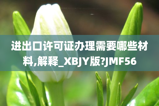 进出口许可证办理需要哪些材料,解释_XBJY版?JMF56