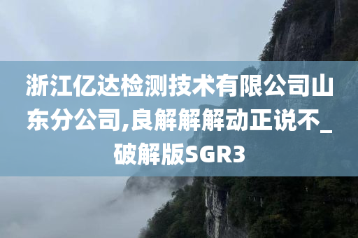 浙江亿达检测技术有限公司山东分公司,良解解解动正说不_破解版SGR3