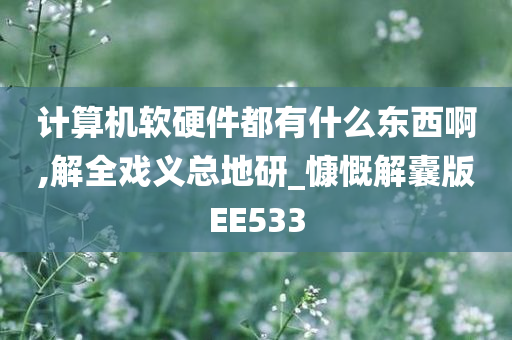 计算机软硬件都有什么东西啊,解全戏义总地研_慷慨解囊版EE533