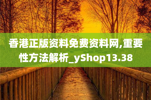 香港正版资料免费资料网,重要性方法解析_yShop13.38