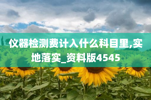 仪器检测费计入什么科目里,实地落实_资料版4545