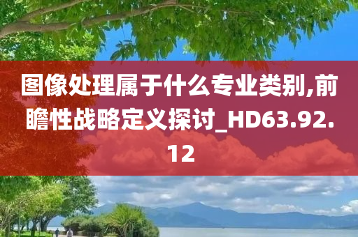 图像处理属于什么专业类别,前瞻性战略定义探讨_HD63.92.12