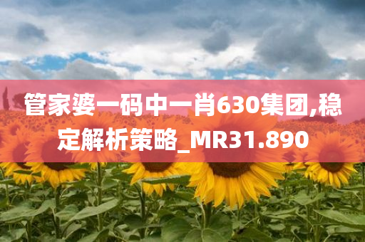 管家婆一码中一肖630集团,稳定解析策略_MR31.890