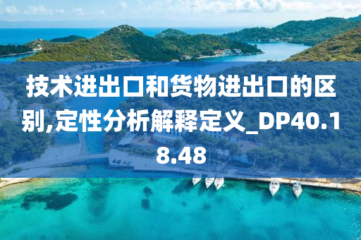 技术进出口和货物进出口的区别,定性分析解释定义_DP40.18.48